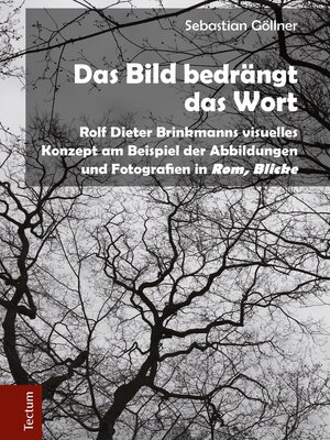 cover image of Das Bild bedrängt das Wort